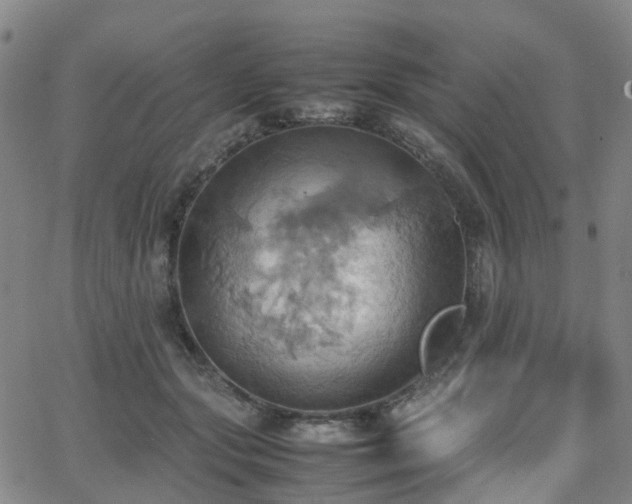 X0000064040557200601301151