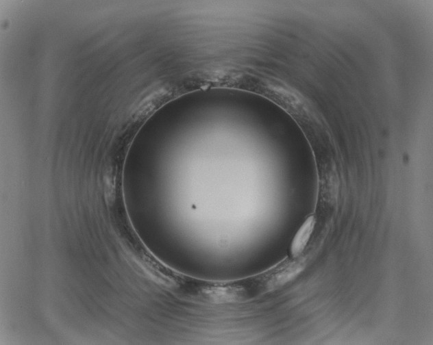 X0000064040558200601301151