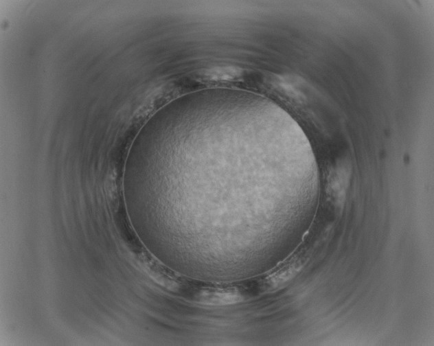 X0000064040559200601301151