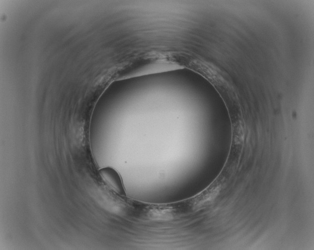 X0000064040560200601301151