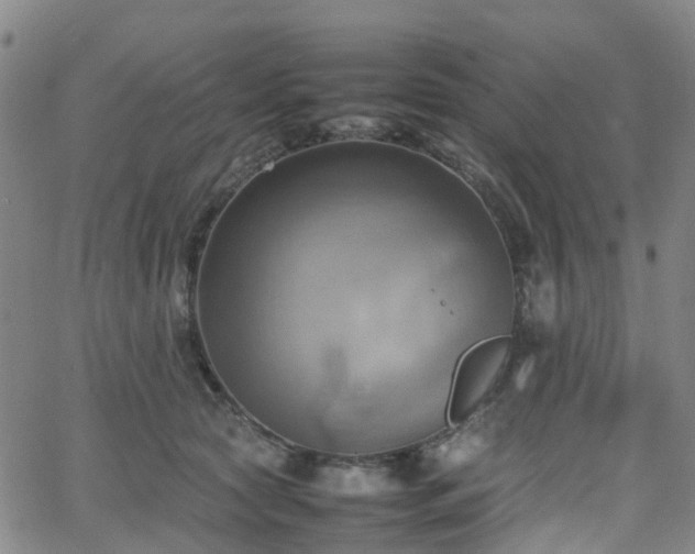 X0000064040561200601301151