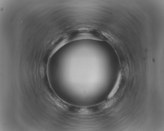 X0000064040562200601301151