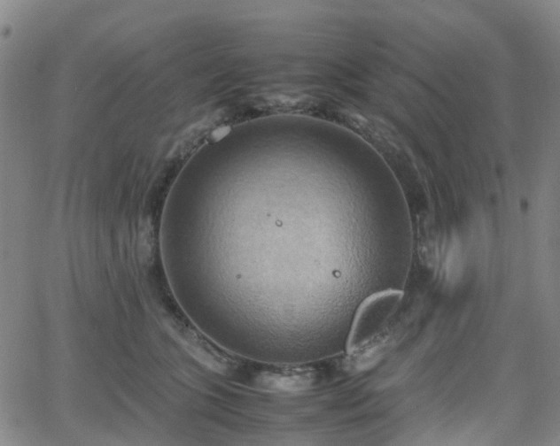 X0000064040563200601301151