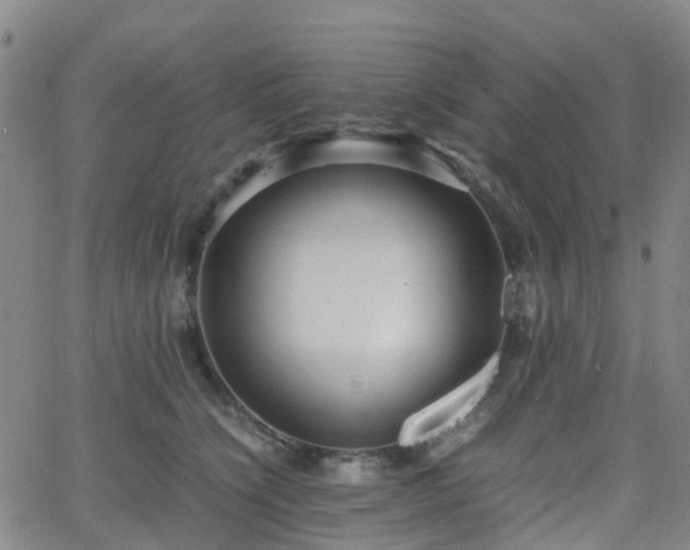 X0000064040564200601301151