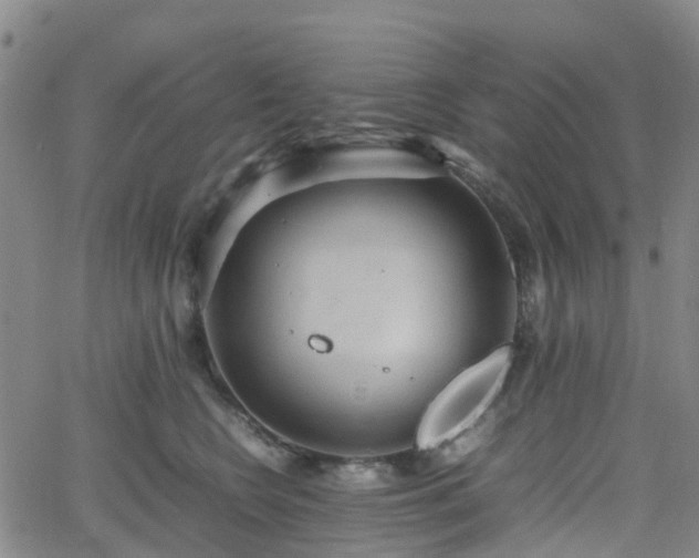 X0000064040566200601301151