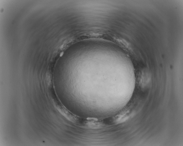 X0000064040568200601301151