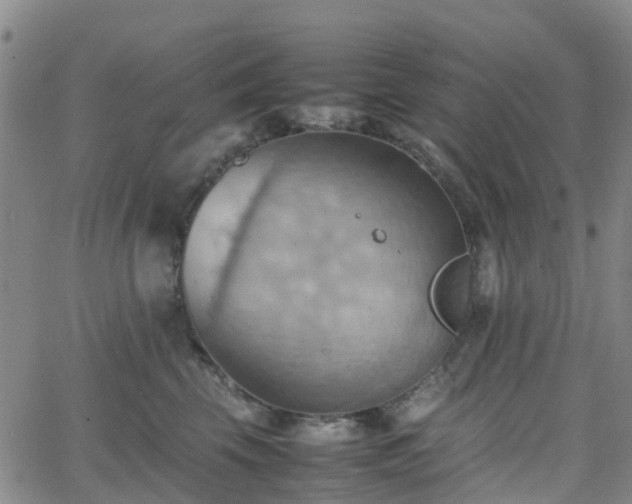 X0000064040569200601301151