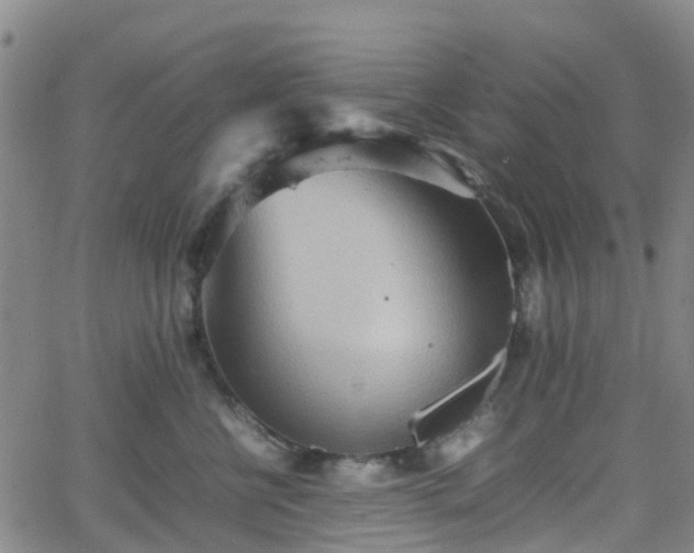 X0000064040570200601301151