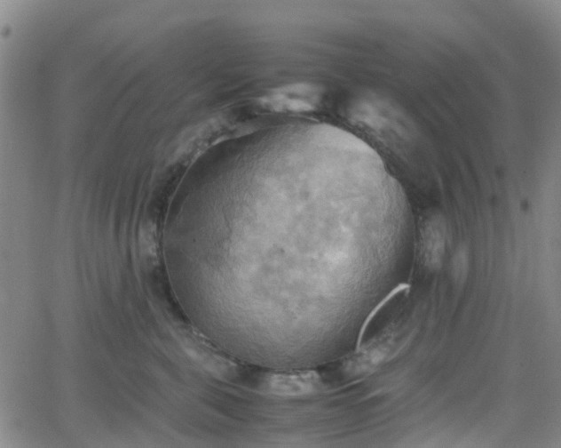 X0000064040571200601301151