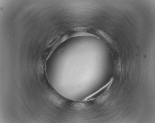 X0000064040572200601301151