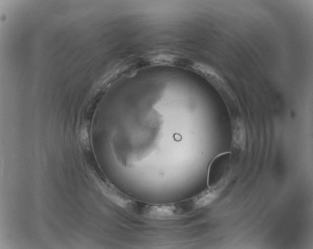 X0000064040573200601301151