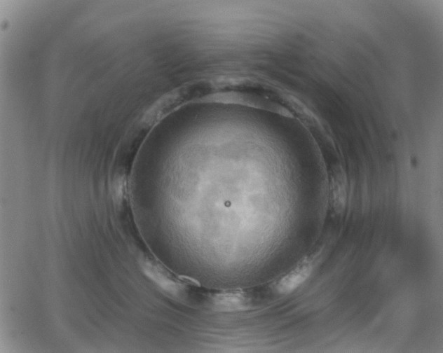 X0000064040574200601301151