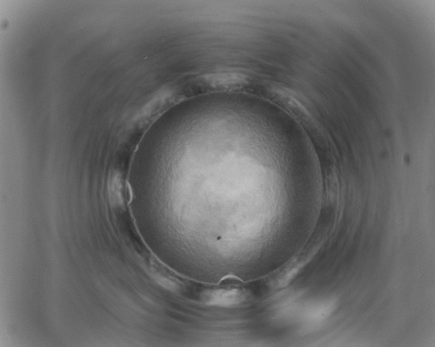 X0000064040575200601301151