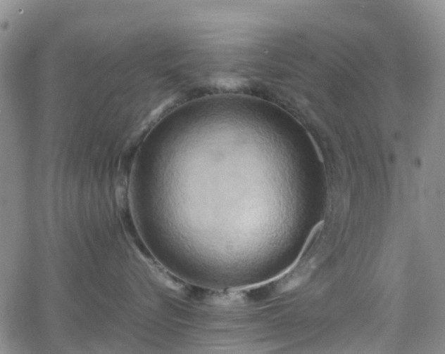 X0000064040576200601301151