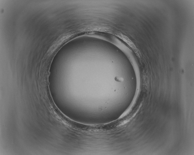 X0000064040577200601301151