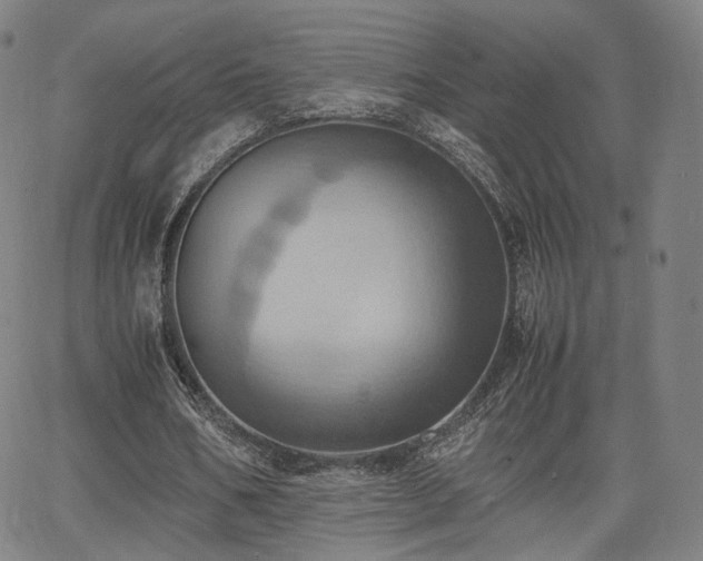 X0000064040578200601301151