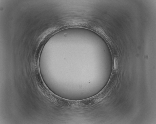 X0000064040579200601301151