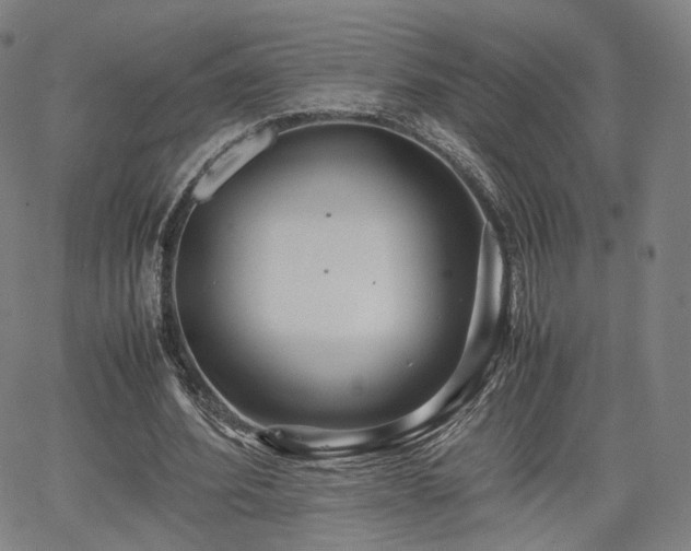 X0000064040580200601301151