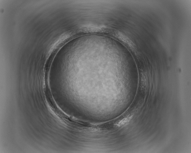 X0000064040582200601301151