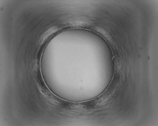 X0000064040583200601301151