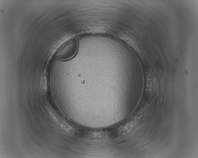 X0000064040584200601301151