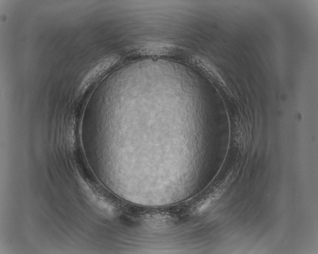 X0000064040586200601301151