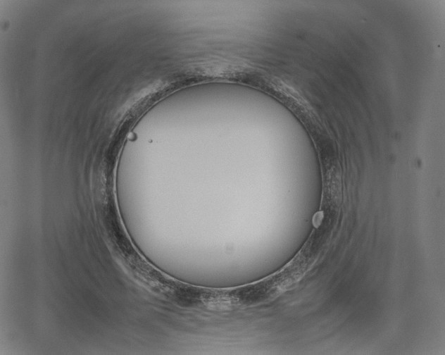 X0000064040587200601301151