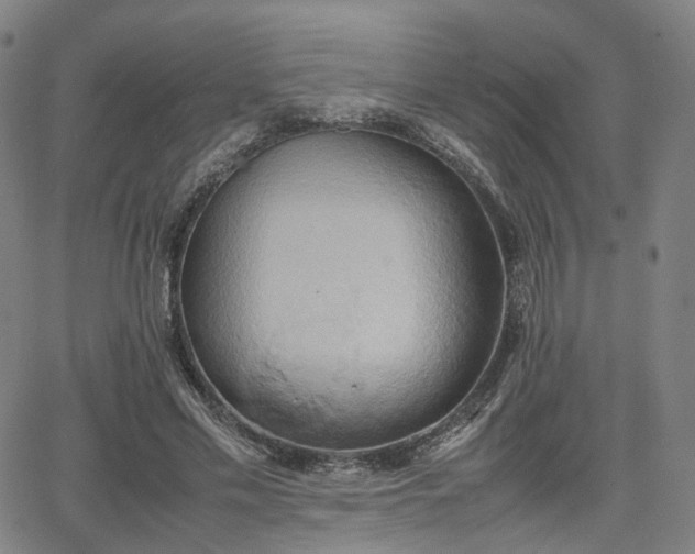 X0000064040589200601301150