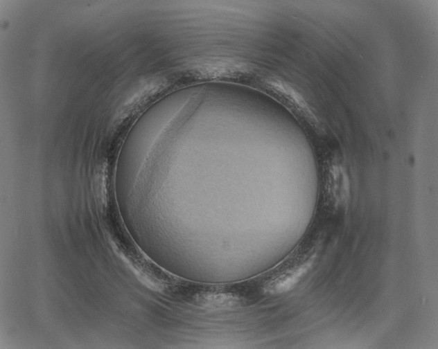 X0000064040590200601301150