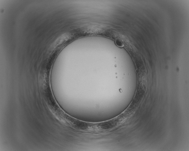 X0000064040591200601301150