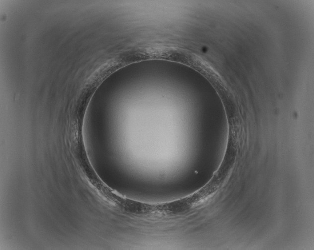 X0000064040593200601301150