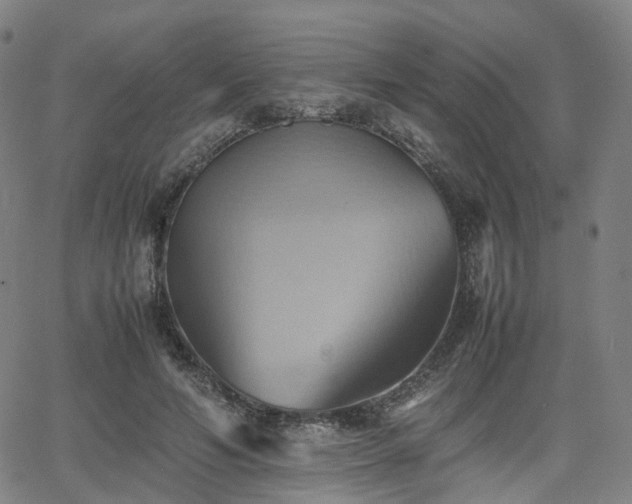 X0000064040594200601301150