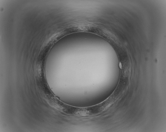 X0000064040595200601301150