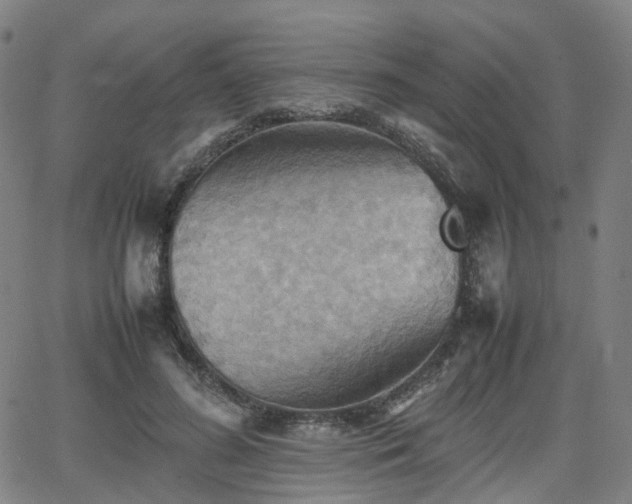 X0000064040596200601301150