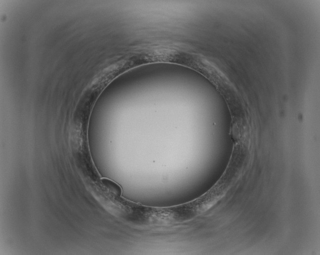 X0000064040599200601301150