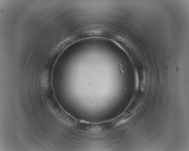 X0000064040600200601301150