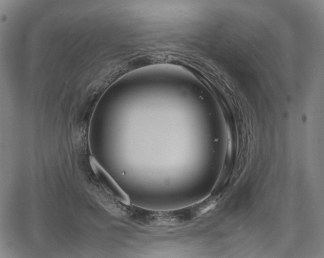 X0000064040601200601301150