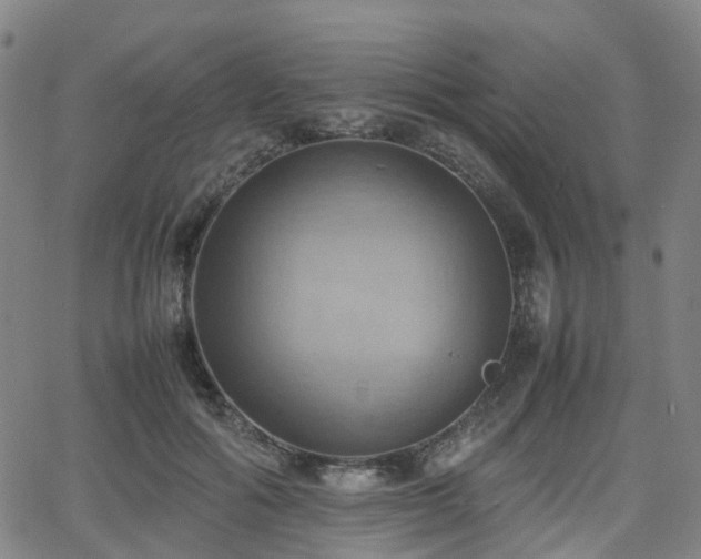 X0000064040602200601301150