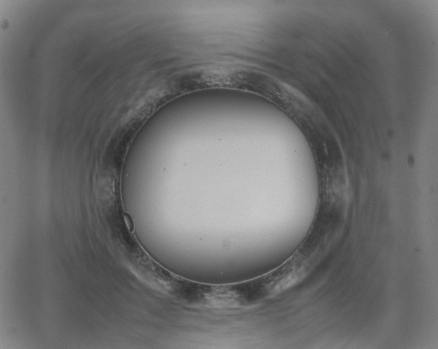 X0000064040603200601301150