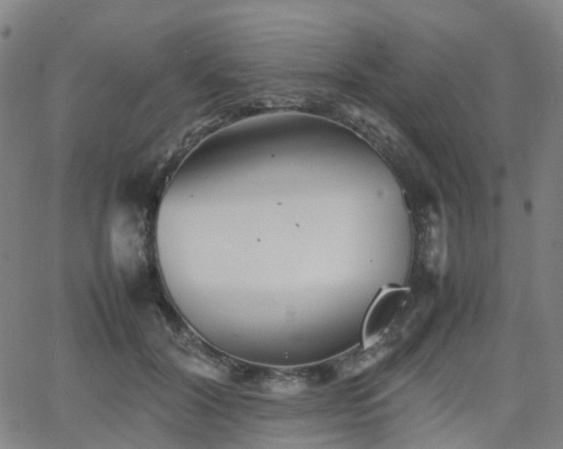 X0000064040604200601301150