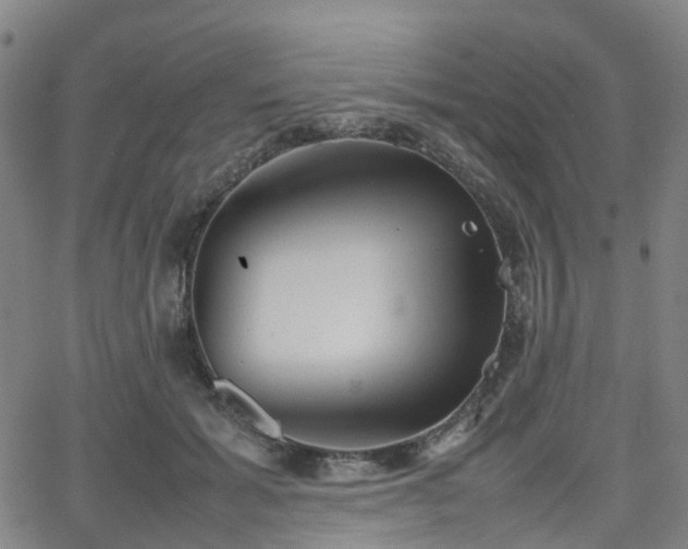 X0000064040605200601301150