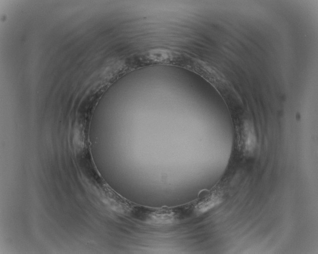 X0000064040606200601301150