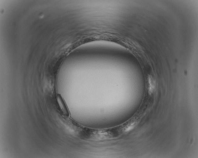 X0000064040607200601301150