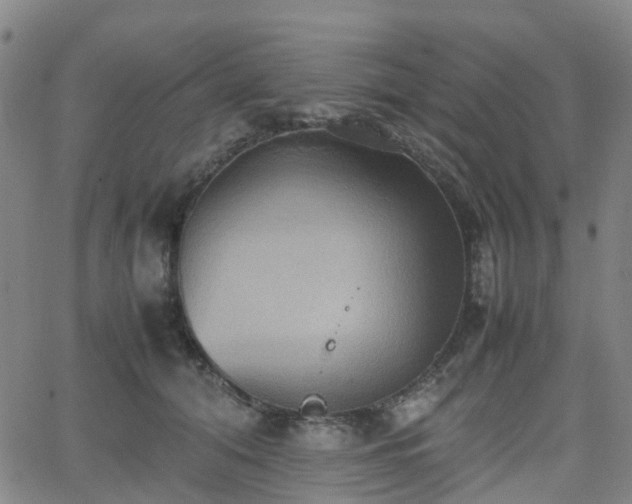 X0000064040608200601301150