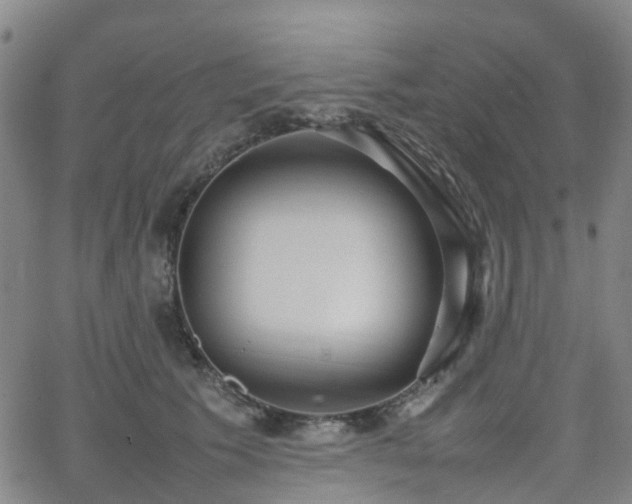 X0000064040609200601301150