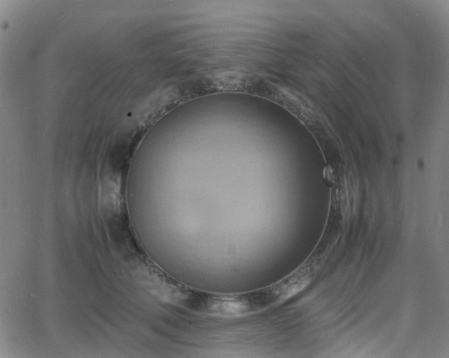 X0000064040610200601301150