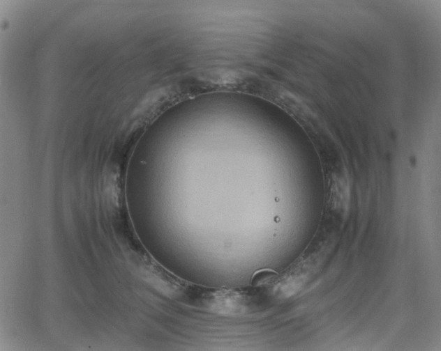 X0000064040612200601301150