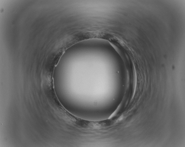 X0000064040613200601301150