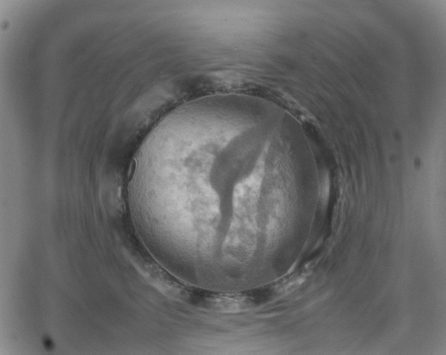 X0000064040615200601301150