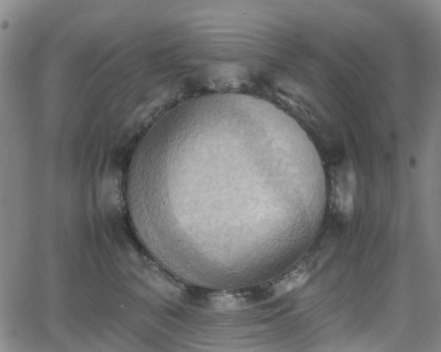 X0000064040616200601301150